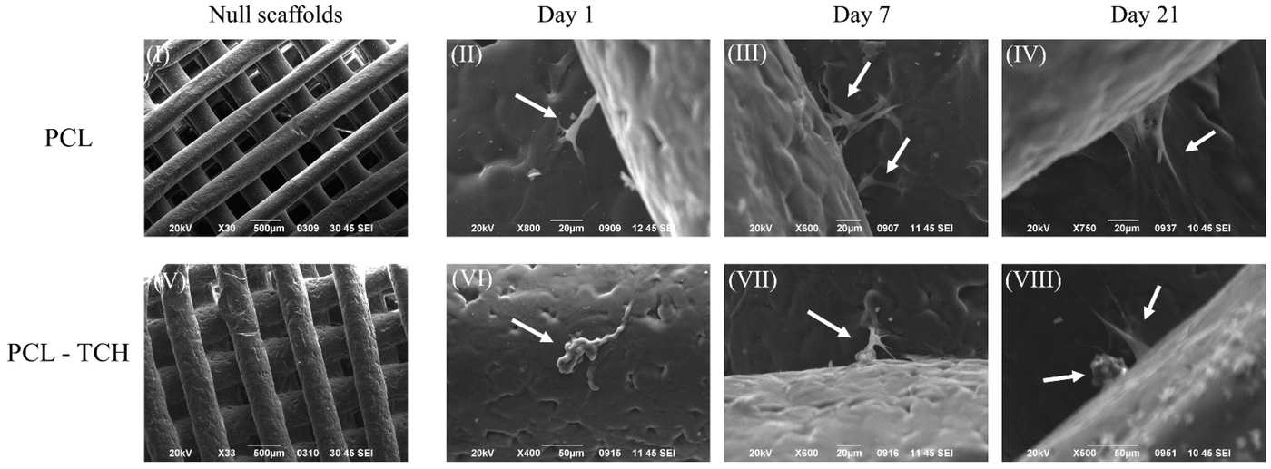 High Quality Filaments PEEK, PEKK, PEI, PPSU, PCL, PETG, ABS, PLA, C8